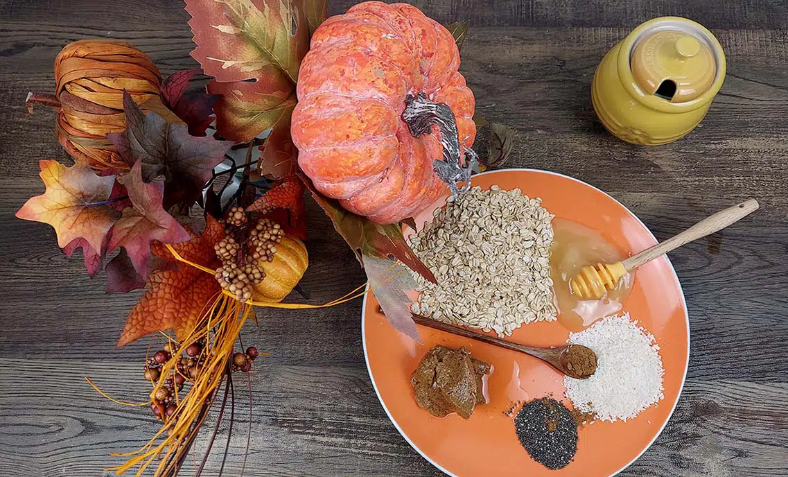 Pumpkin Spice and Chia Energy Bites